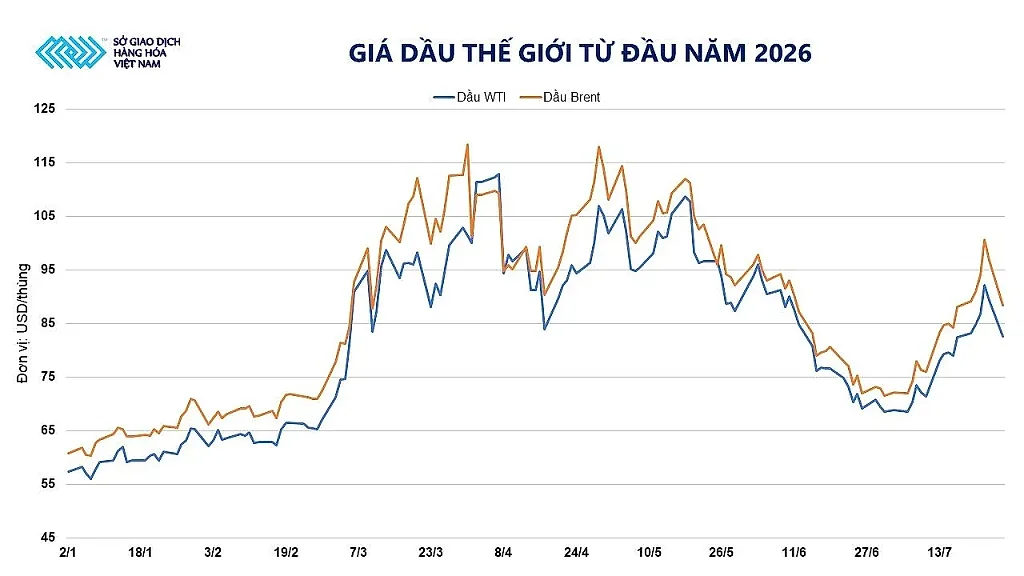anh-2_-dien-bien-gia-dau-the-gioi-tu-dau-nam-2026.jpg