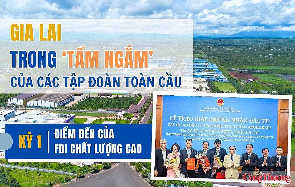 Gia Lai trong ‘tầm ngắm’ của các tập đoàn toàn cầu - Kỳ 1: Điểm đến của FDI chất lượng cao