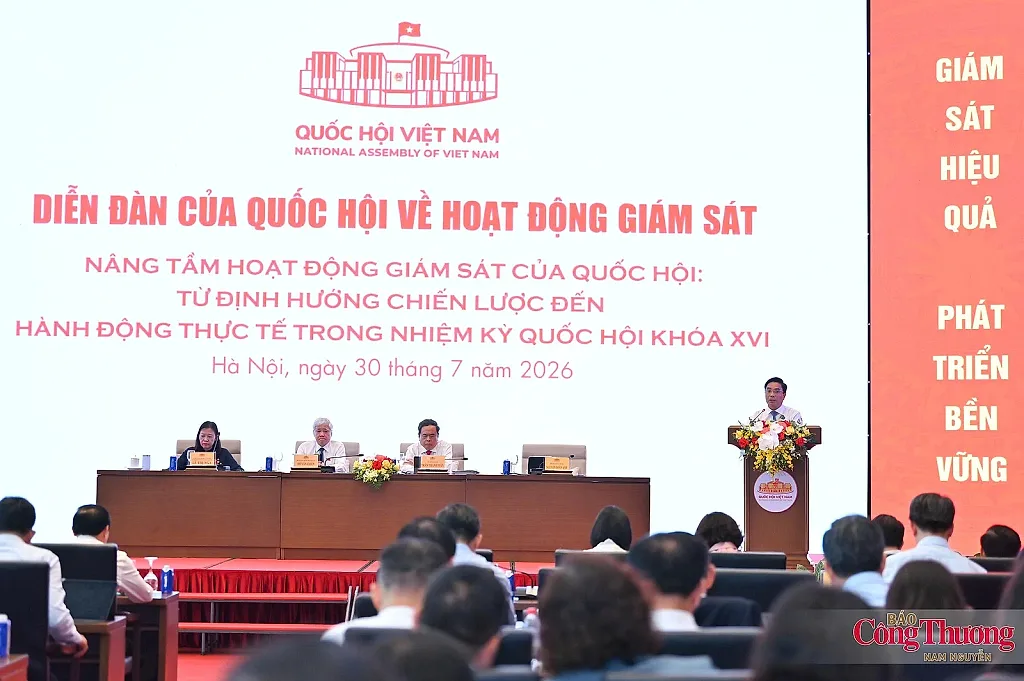 Giám sát phải trở thành động lực hoàn thiện thể chế
