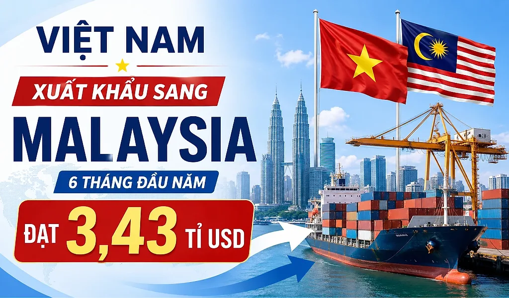 Infographic: Việt Nam xuất khẩu sang Malaysia 6 tháng đạt 3,43 tỉ USD
