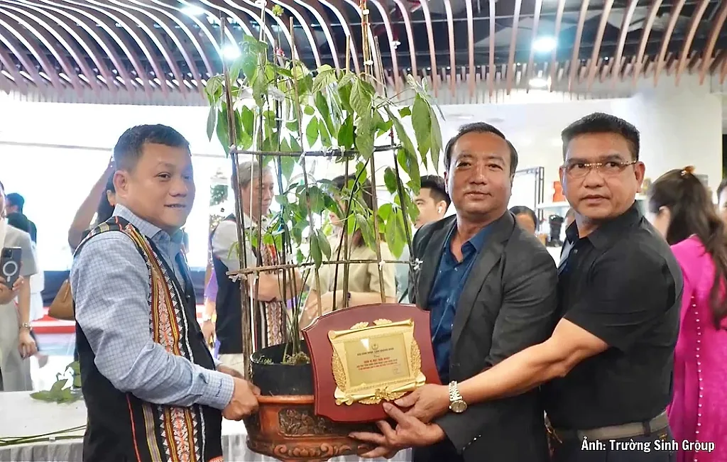 Doanh nghiệp Gia Lai trúng đấu giá cây sâm Ngọc Linh 35 năm tuổi làm thiện nguyện