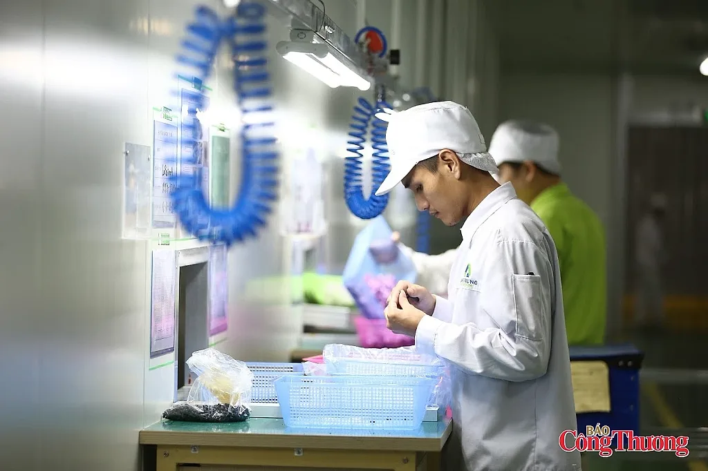 Gần 187 nghìn doanh nghiệp gia nhập thị trường sau 7 tháng đầu năm