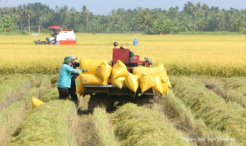 Sản xuất nông, lâm nghiệp duy trì ổn định trong 7 tháng đầu năm 2026 — Cục Thống kê