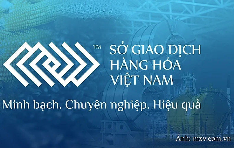 Điều kiện thành lập Sở giao dịch hàng hóa từ ngày 15/9/2026