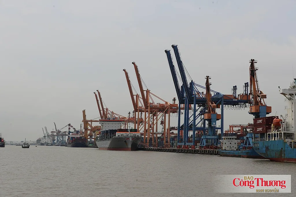 9 nhiệm vụ trọng tâm đưa Việt Nam trở thành quốc gia biển mạnh
