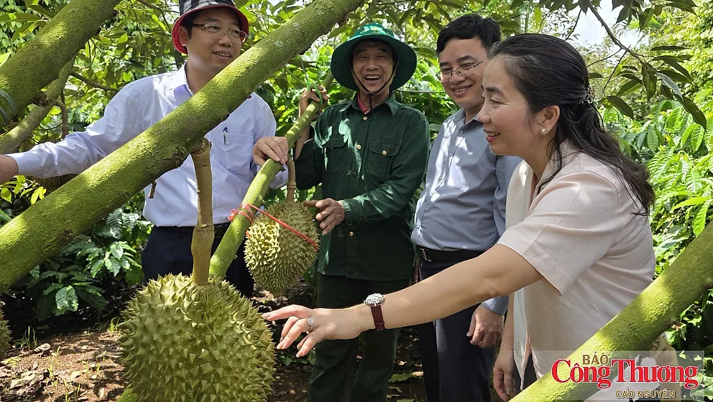 Đẩy nhanh cấp mã số vùng trồng, tạo thuận lợi cho xuất khẩu nông sản