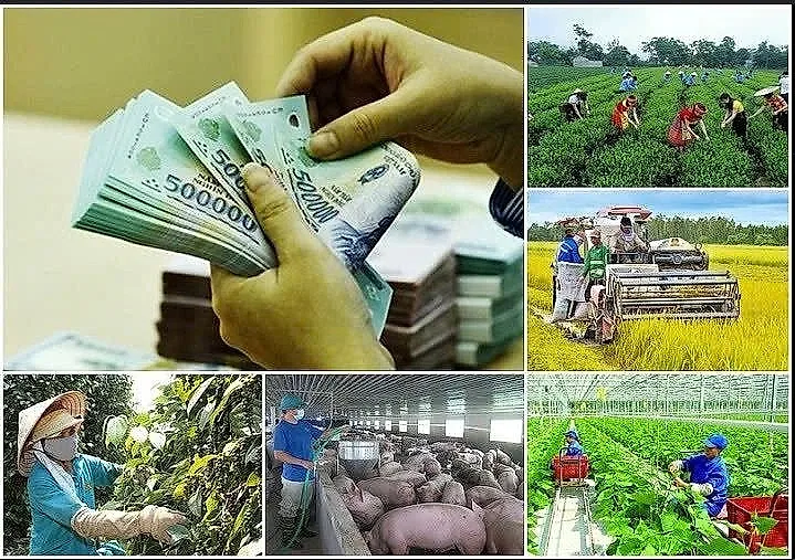 Giải ngân Chương trình mục tiêu quốc gia còn chậm, đề xuất thống nhất 4 chương trình thành một