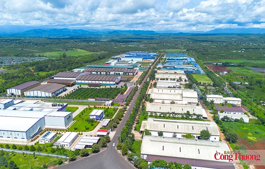 Gia Lai: Công nhận kết quả trúng đấu giá hơn 23 ha đất Cụm công nghiệp Bùi Thị Xuân