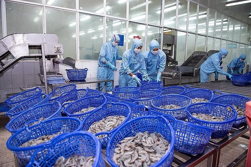 Xuất khẩu thủy sản chững lại, tôm chịu sức ép cạnh tranh lớn