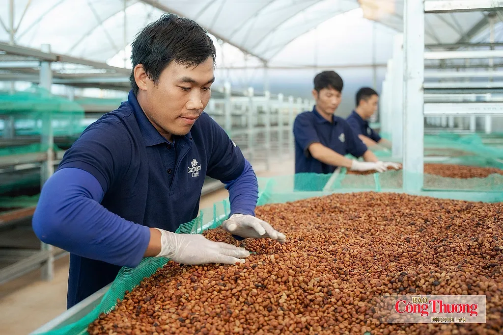 Từ lợi thế EVFTA đến ‘bài toán’ đáp ứng EUDR