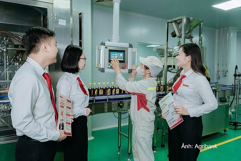 Ngân hàng đồng loạt giảm lãi suất, hướng vốn vào động lực tăng trưởng