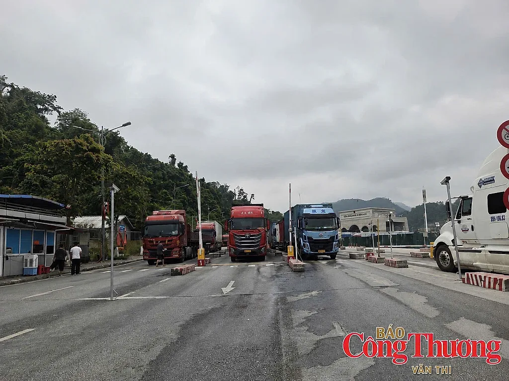 Cập nhật tin xuất nhập khẩu qua các cửa khẩu Lạng Sơn ngày 11/8/2026