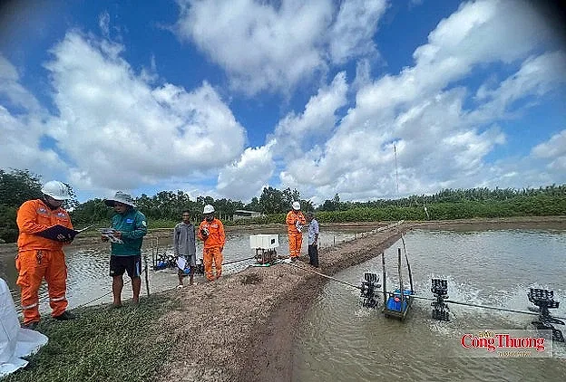 Tai nạn điện trong dân: Cảnh giác trước phút chủ quan, bất cẩn