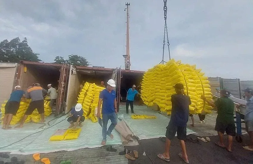 Doanh nghiệp xuất khẩu gạo cần chủ động trước “đòn tâm lý” thị trường