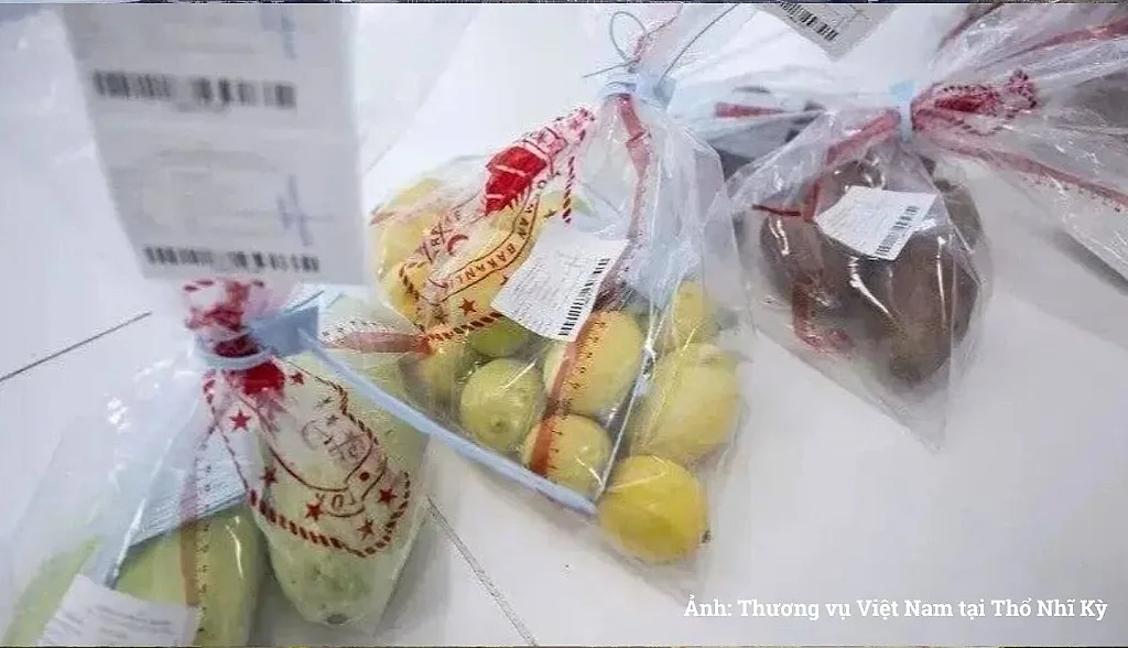 Thêm cơ quan được kiểm tra đối với sản phẩm nhập khẩu vào Thổ Nhĩ Kỳ