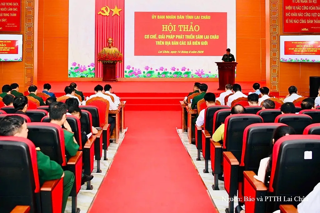 Lai Châu đặt mục tiêu phát triển 1.350 ha Sâm tại các xã biên giới