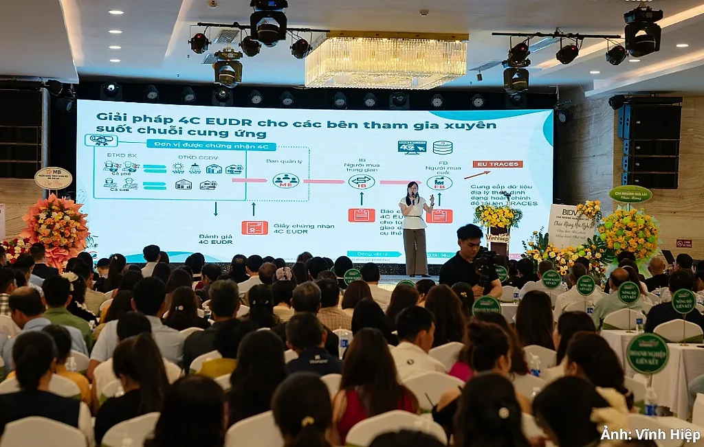 Liên kết chuỗi, chìa khóa để cà phê Việt đáp ứng EUDR