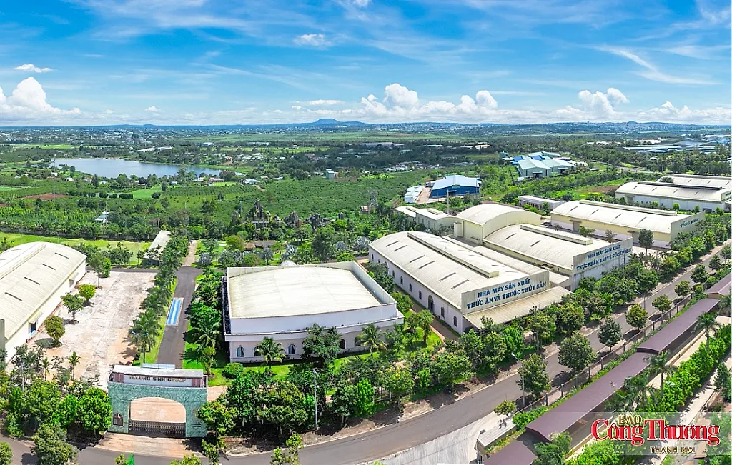 Gia Lai phê duyệt nhà đầu tư Cụm công nghiệp Tân Nghi 65 ha