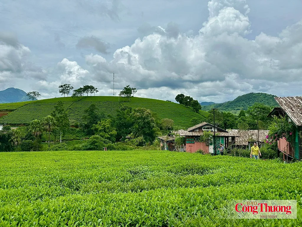 Minh Đài nâng tầm OCOP, mở hướng phát triển kinh tế nông thôn