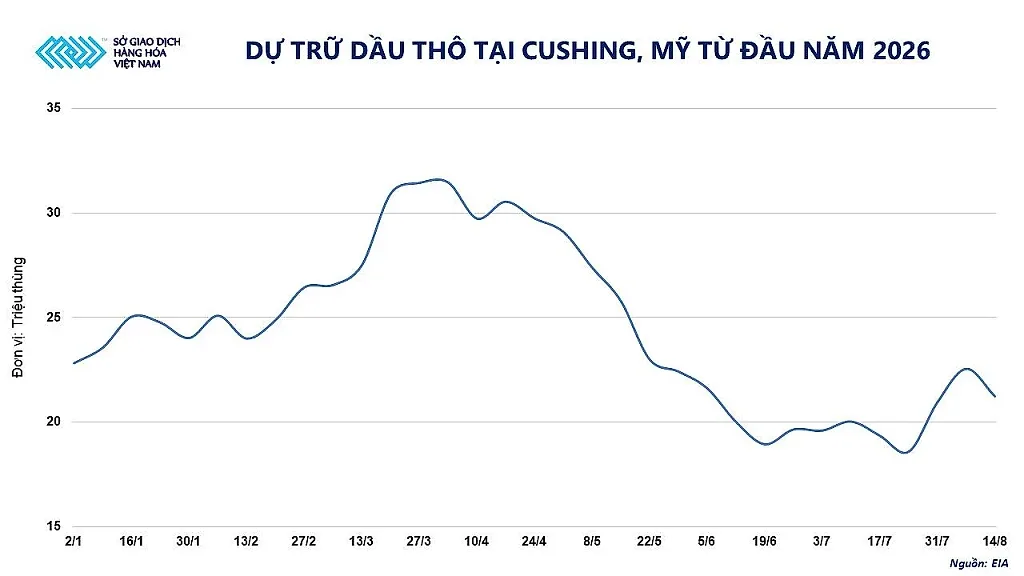 anh-2_-du-tru-dau-tho-tai-cushing-my-tu-dau-nam-2026.jpg