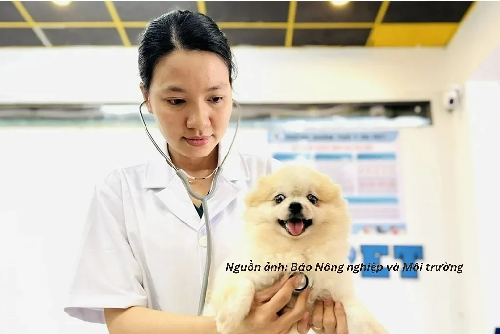 Ngành thú cưng tìm dư địa tăng trưởng từ hệ sinh thái dịch vụ — Pety