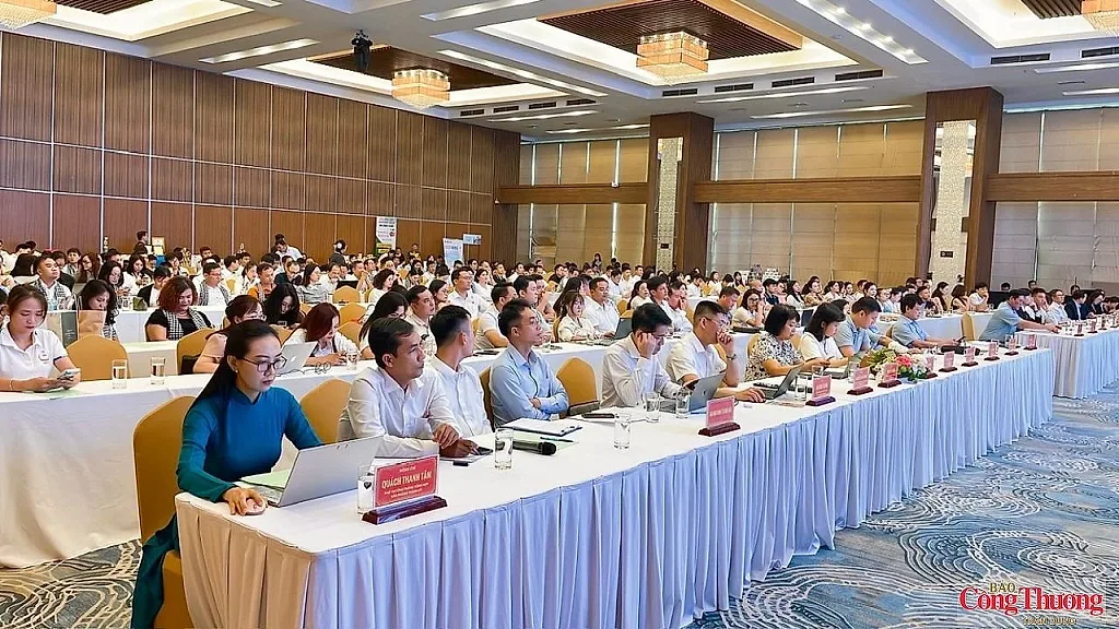 Hà Nội – Cần Thơ tăng kết nối doanh nghiệp, mở rộng hợp tác đầu tư