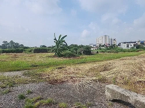 Khẩn trương rà soát, đề xuất giải pháp tháo gỡ vướng mắc cho các dự án tồn đọng, kéo dài — Bộ Tài chính