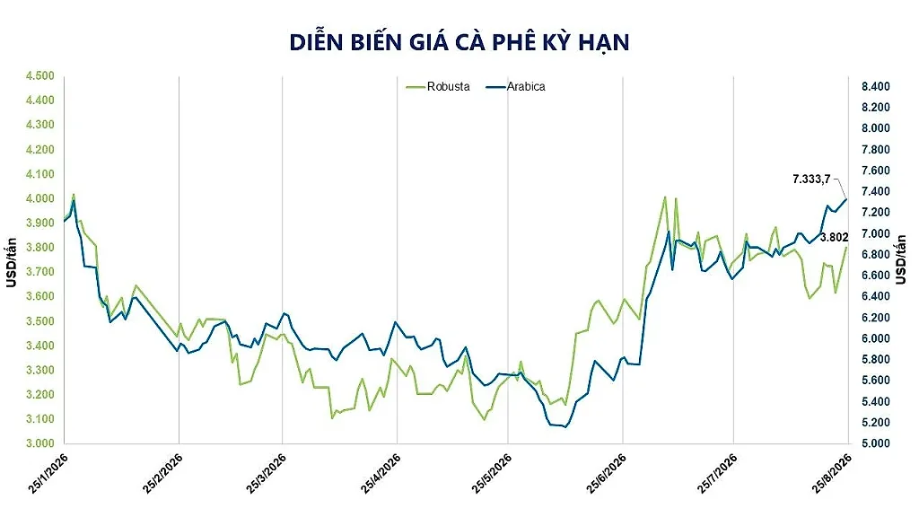 anh-4_-dien-bien-gia-ca-phe.jpg