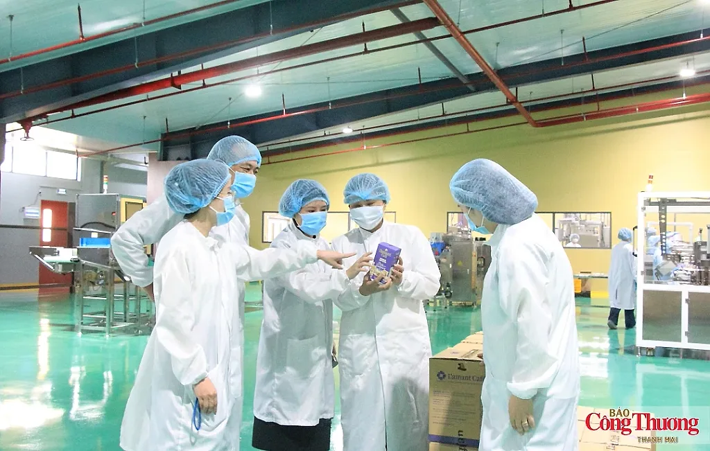 Gia Lai gia tăng sức hút từ những dự án lớn