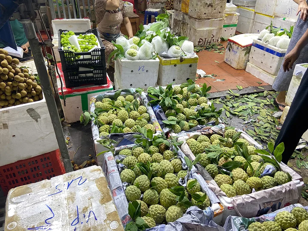 Na vào chính vụ: Nguồn cung dồi dào, thị trường sôi động