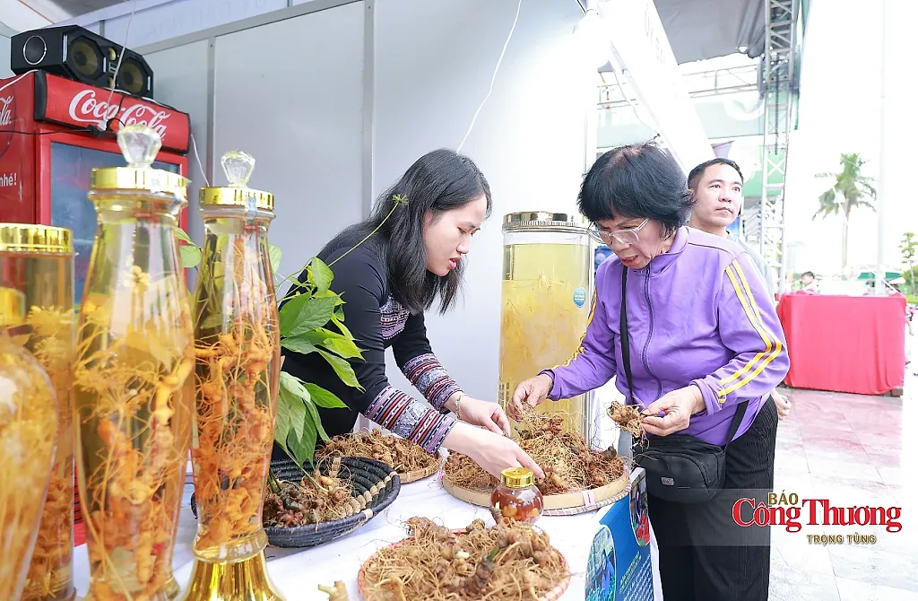 Doanh nghiệp sâm Ngọc Linh thu về hơn 600 triệu đồng tại hội chợ miền Trung - Tây Nguyên
