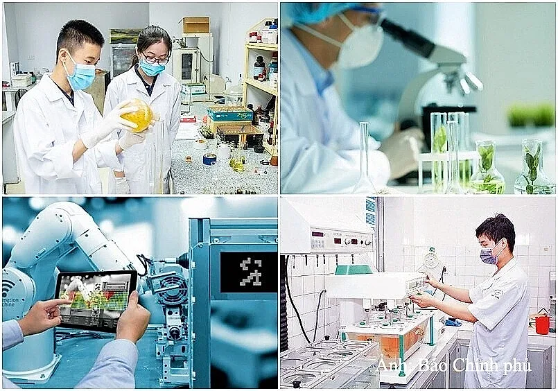 Quyết định giải thể Hội đồng Quốc gia về Khoa học, Công nghệ và Đổi mới sáng tạo