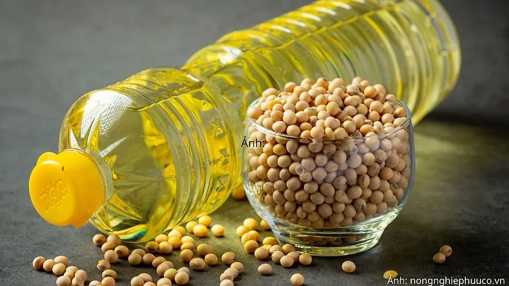 Giá dầu đậu tương tăng nhờ triển vọng nguồn cung và nhu cầu tích cực