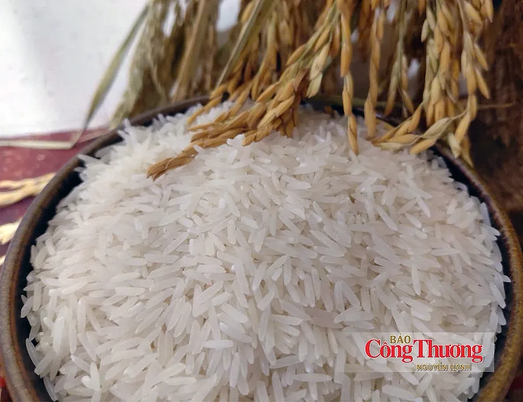 Xuất khẩu gạo Việt: Đã đến lúc không chỉ tính bằng triệu tấn