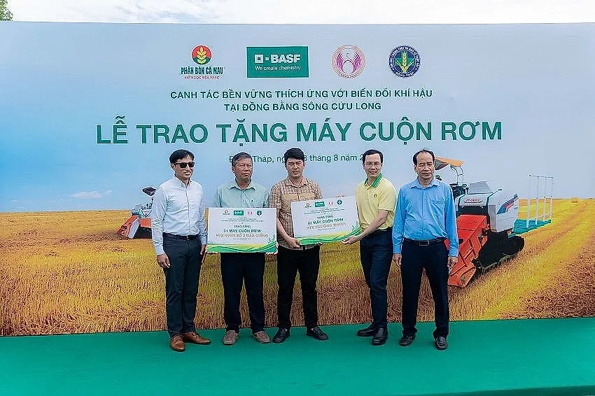 Phân bón Cà Mau mở đầu chuỗi canh tác lúa bền vững tại Đồng Tháp — PVCFC