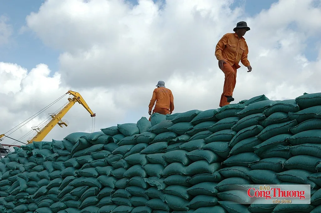 Bộ Công Thương chủ động tạo thuận lợi cho xuất khẩu gạo