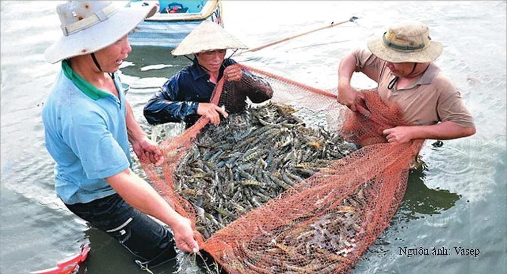 Sản lượng thủy sản 8 tháng tăng 3,8% so với cùng kỳ năm trước — Cục Thống kê