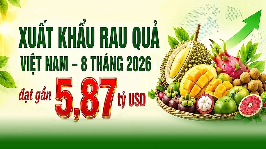 Infographic| Xuất khẩu rau quả Việt Nam 8 tháng năm 2026 đạt gần 5,87 tỷ USD
