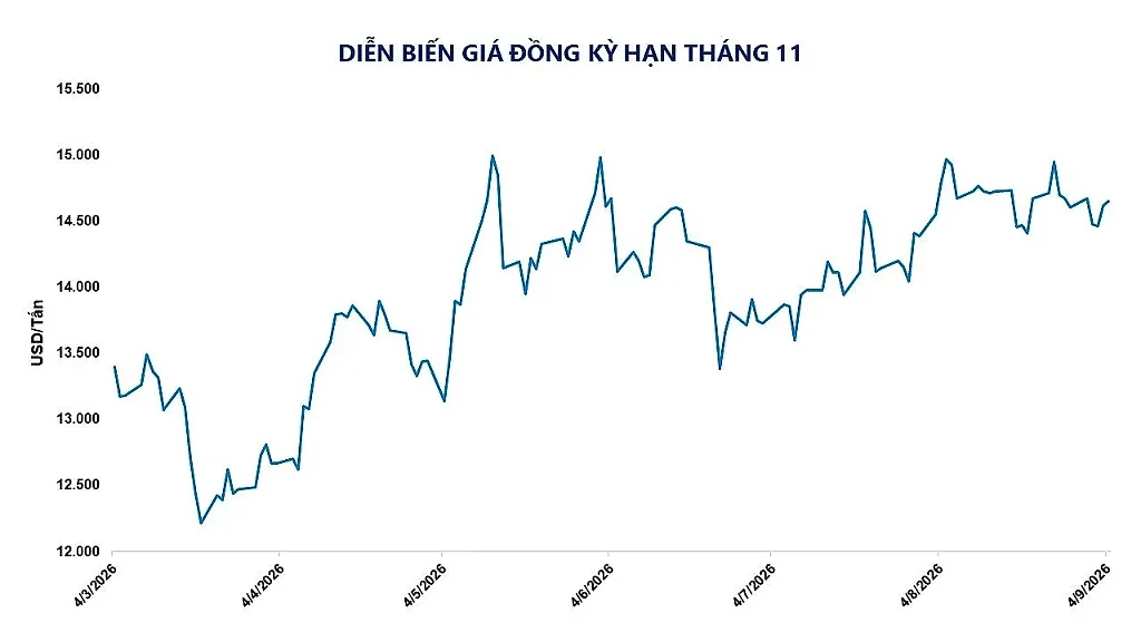 anh-3_-dien-bien-gia-dong-ky-han-thang-11.jpg