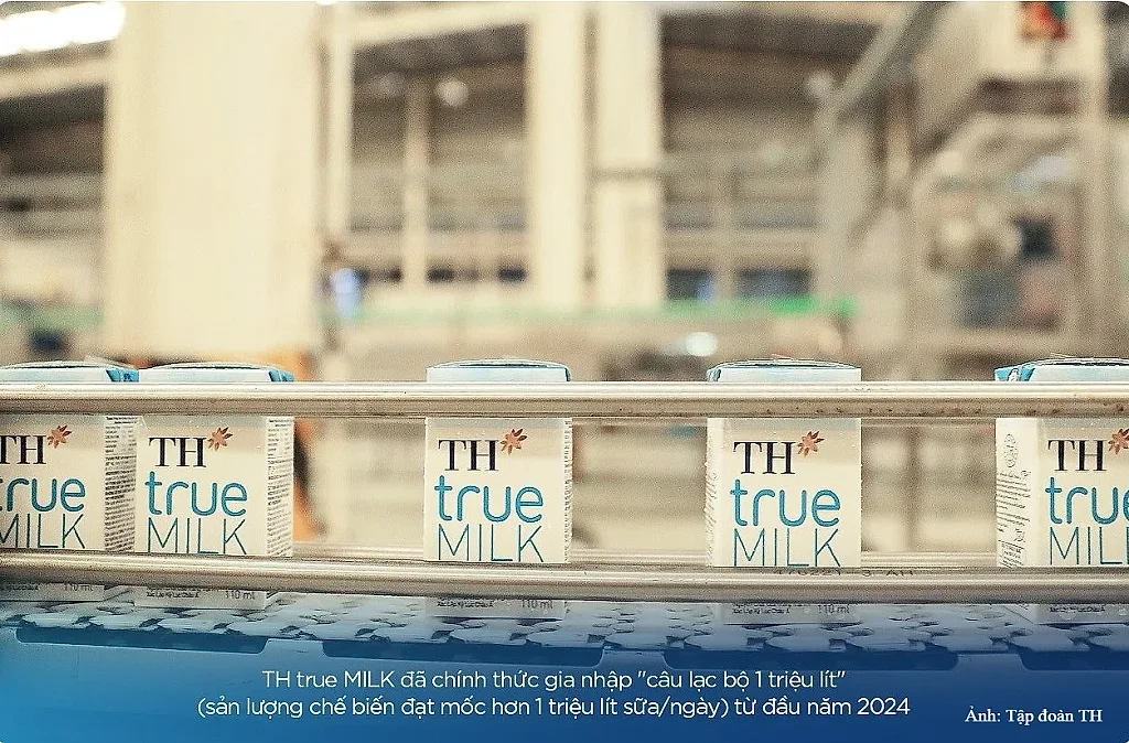 12 bước khép kín từ đồng cỏ đến ly sữa tươi sạch TH true MILK
