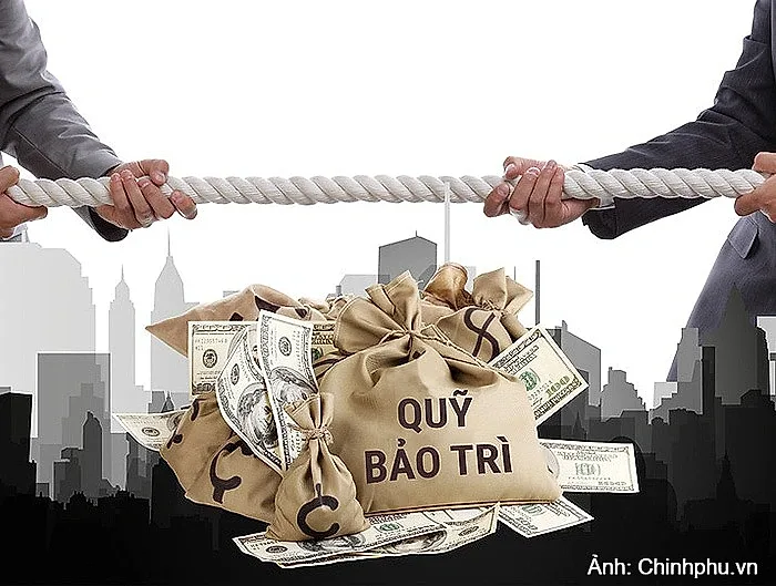 Chủ đầu tư có thể bị phạt 300 triệu đồng nếu quản lý nhà chung cư sai quy định