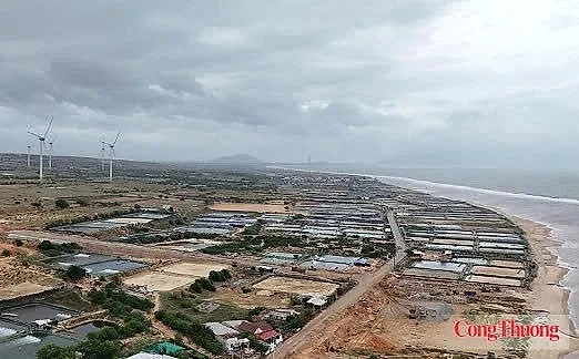 Chính sách hỗ trợ người dân bị thu hồi đất làm dự án điện hạt nhân