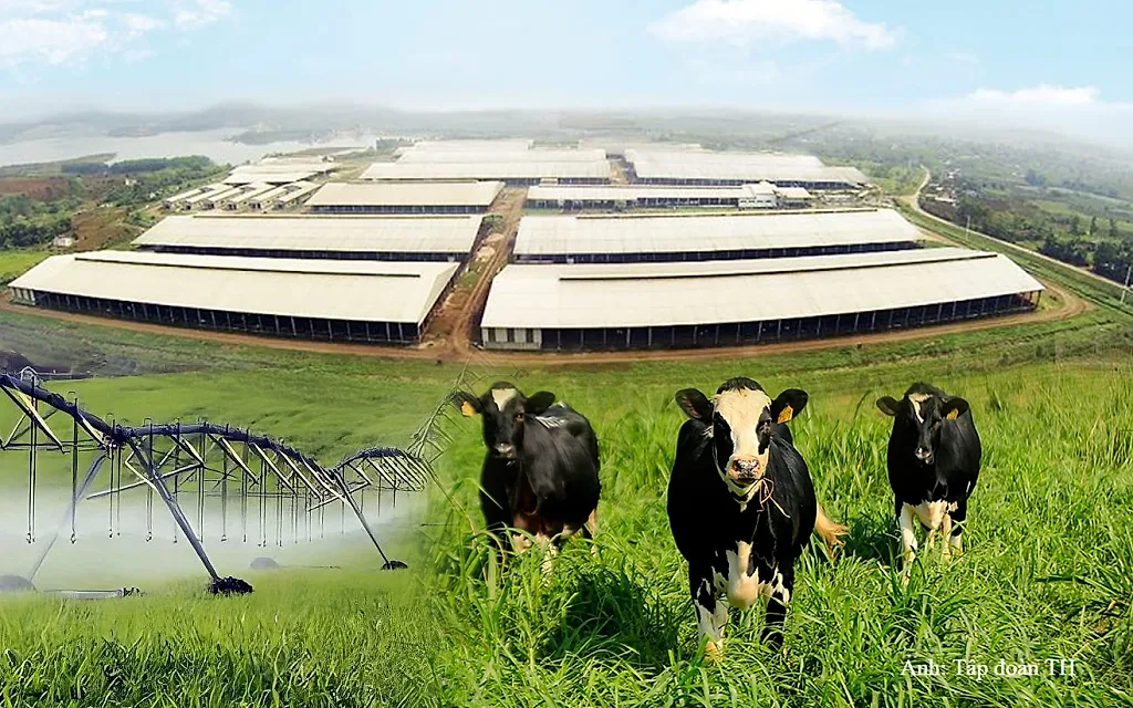 Những dấu ấn làm nên chất lượng sữa tươi sạch TH true MILK