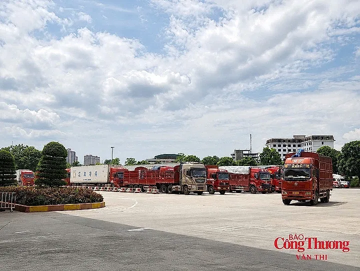 Lào Cai mở rộng không gian phát triển, hướng ra thị trường quốc tế