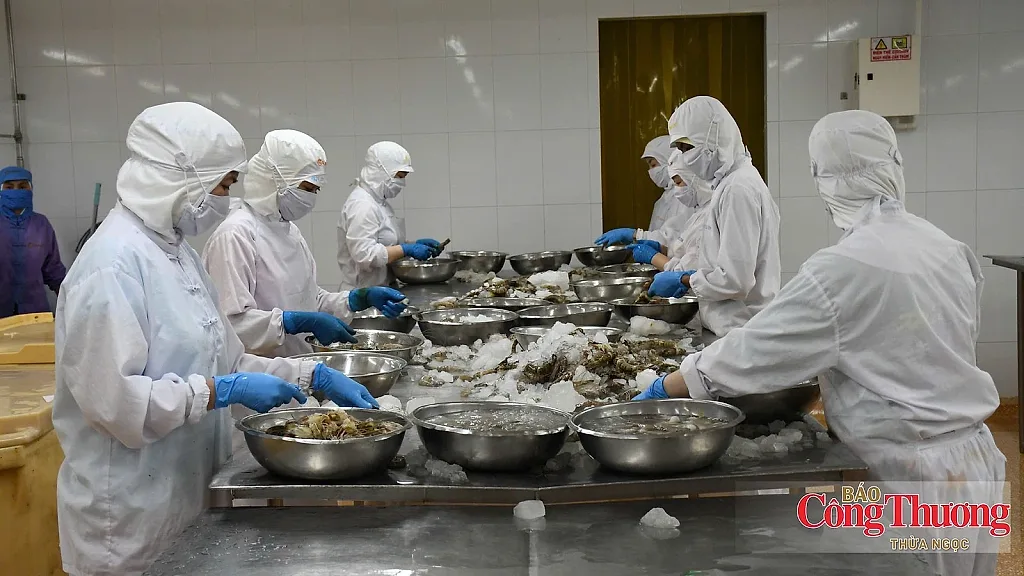 Cà Mau: Công nghiệp, xuất khẩu duy trì đà tăng trưởng
