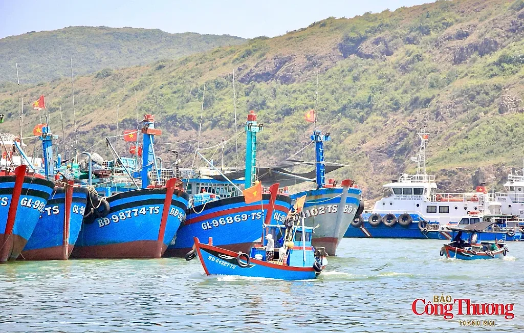 Gia Lai: Quản lý chặt đội tàu, quyết tâm gỡ thẻ vàng IUU