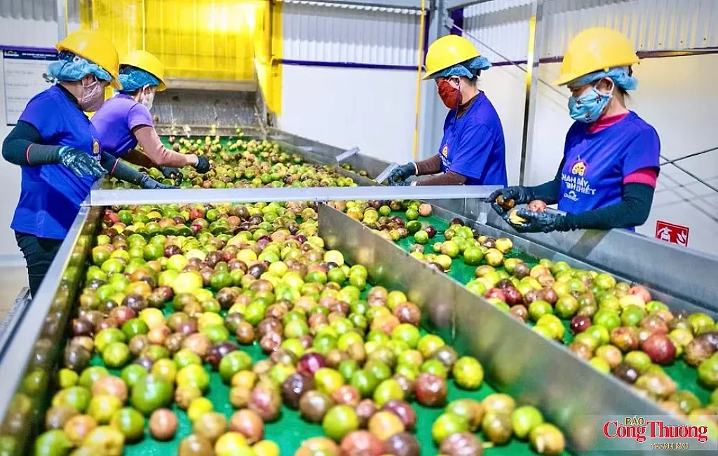 Gia Lai tạo động lực từ phát triển công nghiệp