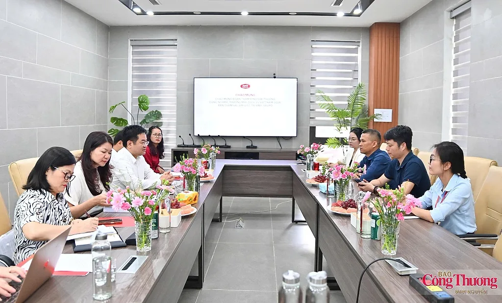 Thẩm định hồ sơ Giải thưởng Công nghiệp, Thương mại, Dịch vụ Việt Nam tại AMY GRUPO