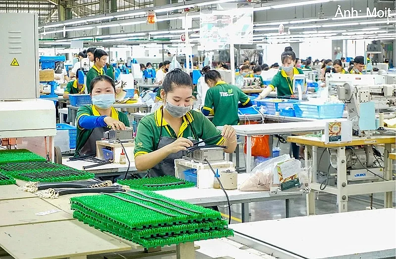 Hướng dẫn xác định dự án xanh, dự án tuần hoàn