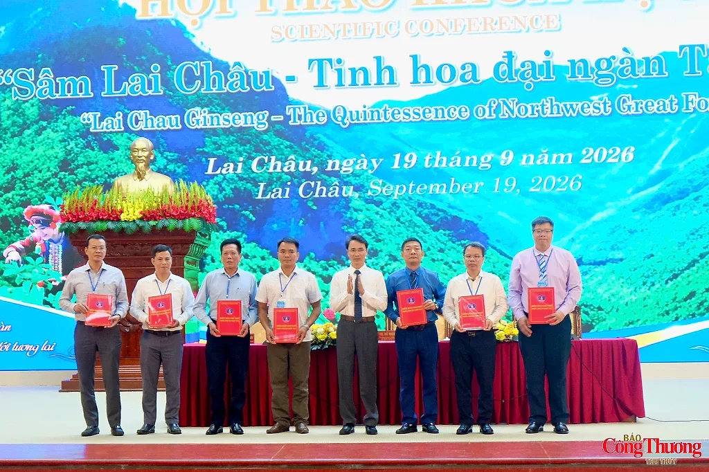 Gỡ nút thắt đưa sâm Lai Châu từ đại ngàn đến chuỗi giá trị bền vững